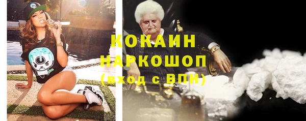 индика Алексин
