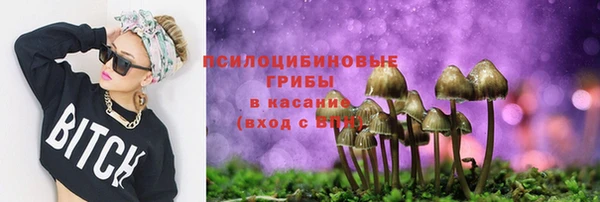 jwh Козельск