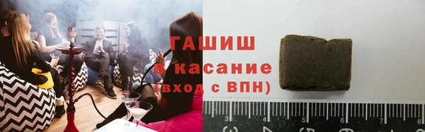 индика Алексин