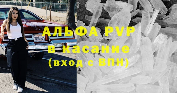индика Алексин