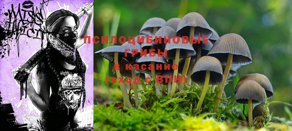 индика Алексин
