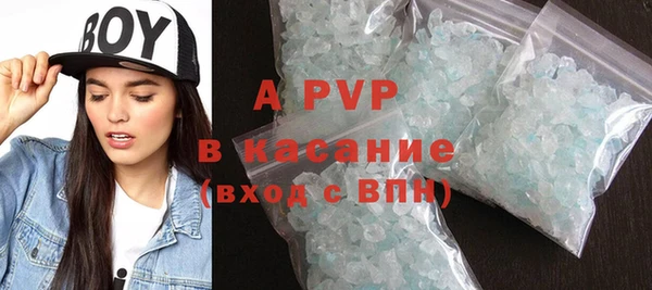 индика Алексин