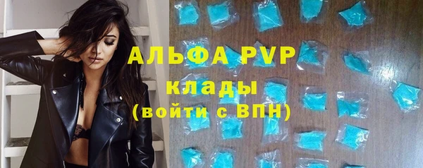 индика Алексин