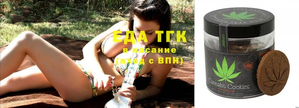 индика Алексин