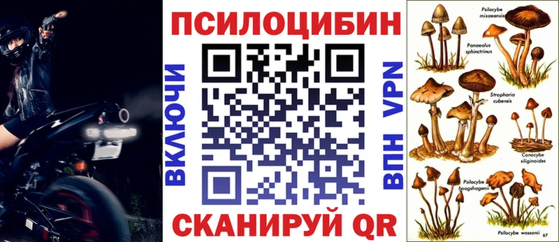 Псилоцибиновые грибы Cubensis  Любим 